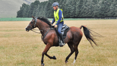 endurance riding race