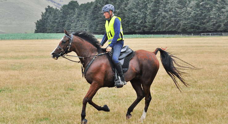 endurance riding race