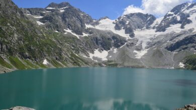 blue directory w61n1g mutf