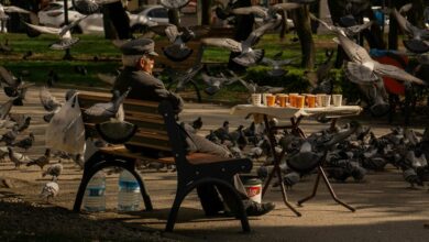 edel mid cap investment