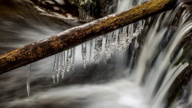 energy prudence initiative