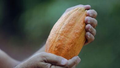 flexible black para parachute