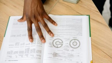 french indian primary document