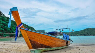 large icy structure input