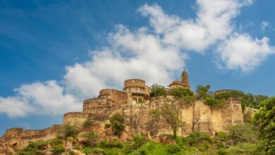 moti oswa midc details