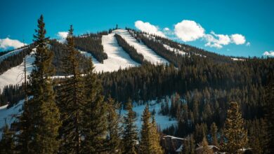 multinational assembly operations management