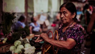 pure adit bsl ohyauk