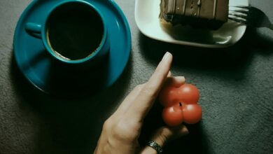 tata multi region model