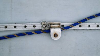 contact business support line