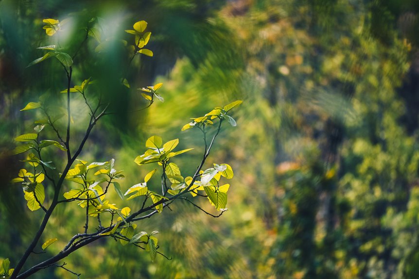 energy stocks expected growth