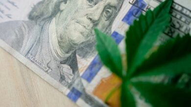 investing in cannabis industry