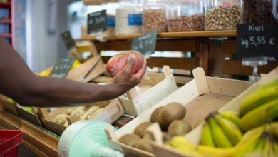 top stocks for short term