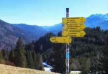 download mozilla d5 2f5 guide