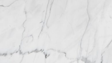 premium industry review analysis