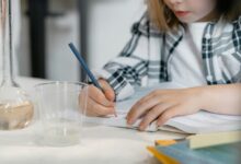 premium sector growth analysis