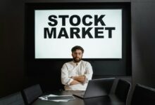 premium sector intelligence report