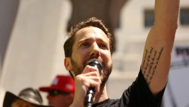 digital audience impact analysis