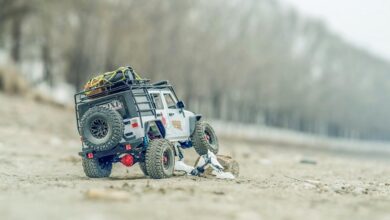 digital scale expansion control