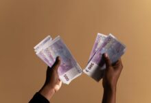 lifetime revenue customer value