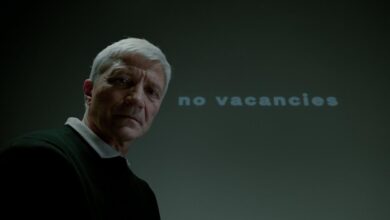 organic traffic search demand